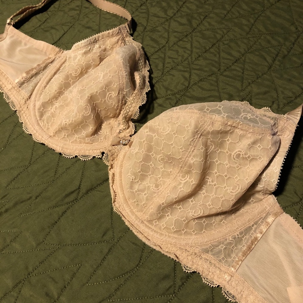 Chantelle Nude Lace Bra, 32F / 32DDDD